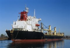 Thumbnail Image for Celia Dan