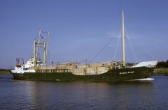 Thumbnail Image for Madeleine oncontextmenu=