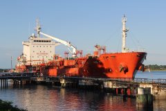 Thumbnail Image for Owl 5