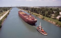 Thumbnail Image for William A Reiss