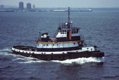 Thumbnail Image for Paul E. No. 1