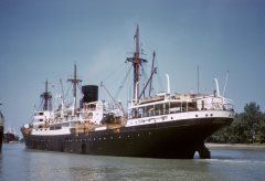 Thumbnail Image for Tabian