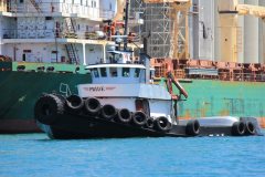 Thumbnail Image for Pride