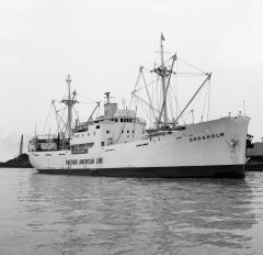 Thumbnail Image for Skogholm