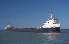 Thumbnail Image for Algogulf