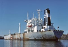 Thumbnail Image for Skaw Prince