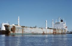 Thumbnail Image for Skaw Prince