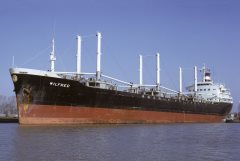 Thumbnail Image for Wilfred oncontextmenu=