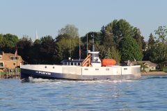 Thumbnail Image for The Purvis