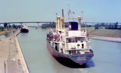 Thumbnail Image for Taifun oncontextmenu=