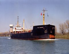 Thumbnail Image for Island Transport