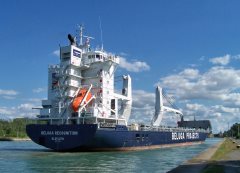 Thumbnail Image for Beluga Recognition oncontextmenu=