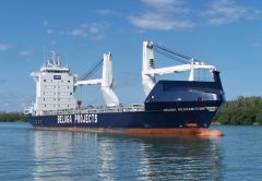 Thumbnail Image for Beluga Recognition oncontextmenu=