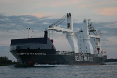 Thumbnail Image for Beluga Recognition oncontextmenu=