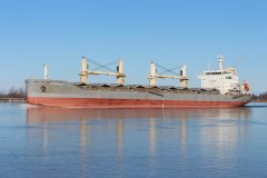 Thumbnail Image for ABYSSINIAN