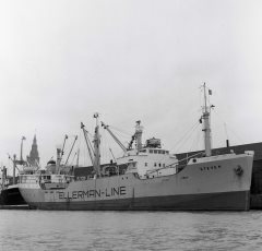 Thumbnail Image for Steven