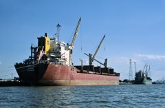 Thumbnail Image for Emilie