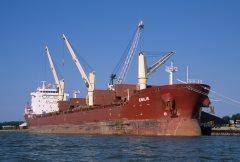 Thumbnail Image for Emilie