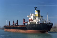 Thumbnail Image for Arizona Dream