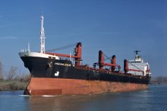 Thumbnail Image for Arizona Dream