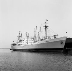 Thumbnail Image for Skiensfjord.