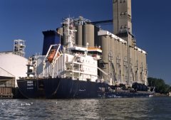 Thumbnail Image for Basat