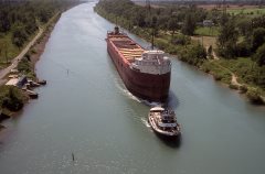 Thumbnail Image for Robert C Norton