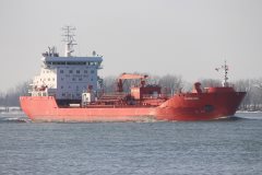 Thumbnail Image for Algoluna