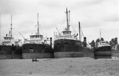 Thumbnail Image for Queenston