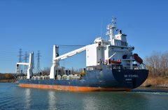 Thumbnail Image for BBC Steinwall