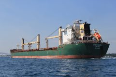 Thumbnail Image for Shoveler