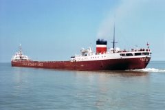 Thumbnail Image for T R McLagan