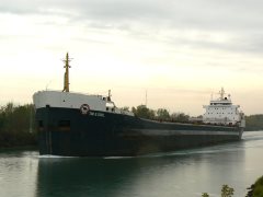 Thumbnail Image for Tim S Dool