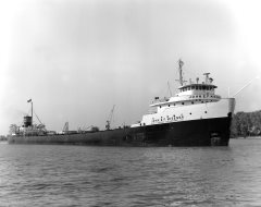 Thumbnail Image for John E F Misener