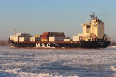 Thumbnail Image for MSC Nadriely