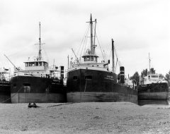 Thumbnail Image for Picton oncontextmenu=