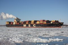 Thumbnail Image for MSC Ornella
