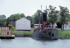 Thumbnail Image for Favorite