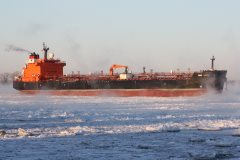Thumbnail Image for Torm Loire