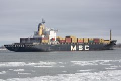Thumbnail Image for MSC Levina