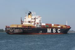 Thumbnail Image for MSC Tina