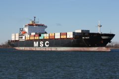 Thumbnail Image for MSC Hailey