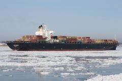 Thumbnail Image for MSC Antwerp