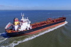 Thumbnail Image for Mare Action