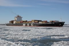 Thumbnail Image for MSC Aniello