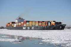 Thumbnail Image for MSC Diego