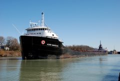 Thumbnail Image for Algoma Montrealais