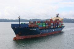 Thumbnail Image for Cosco Brisbane