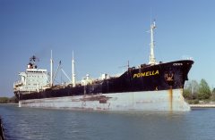 Thumbnail Image for Pomella