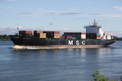 Thumbnail Image for MSC Shannon